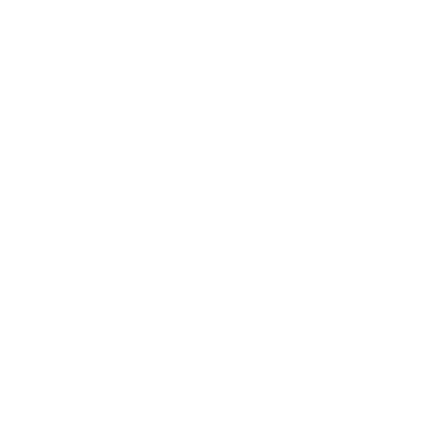 Steam